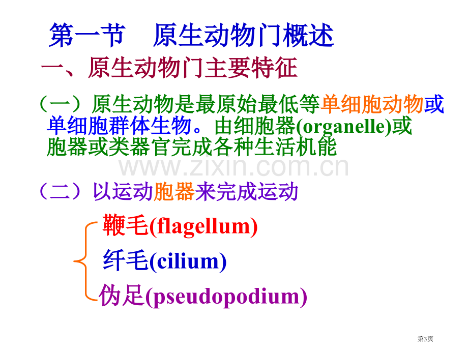 原生动物门单细胞真核生物省公共课一等奖全国赛课获奖课件.pptx_第3页