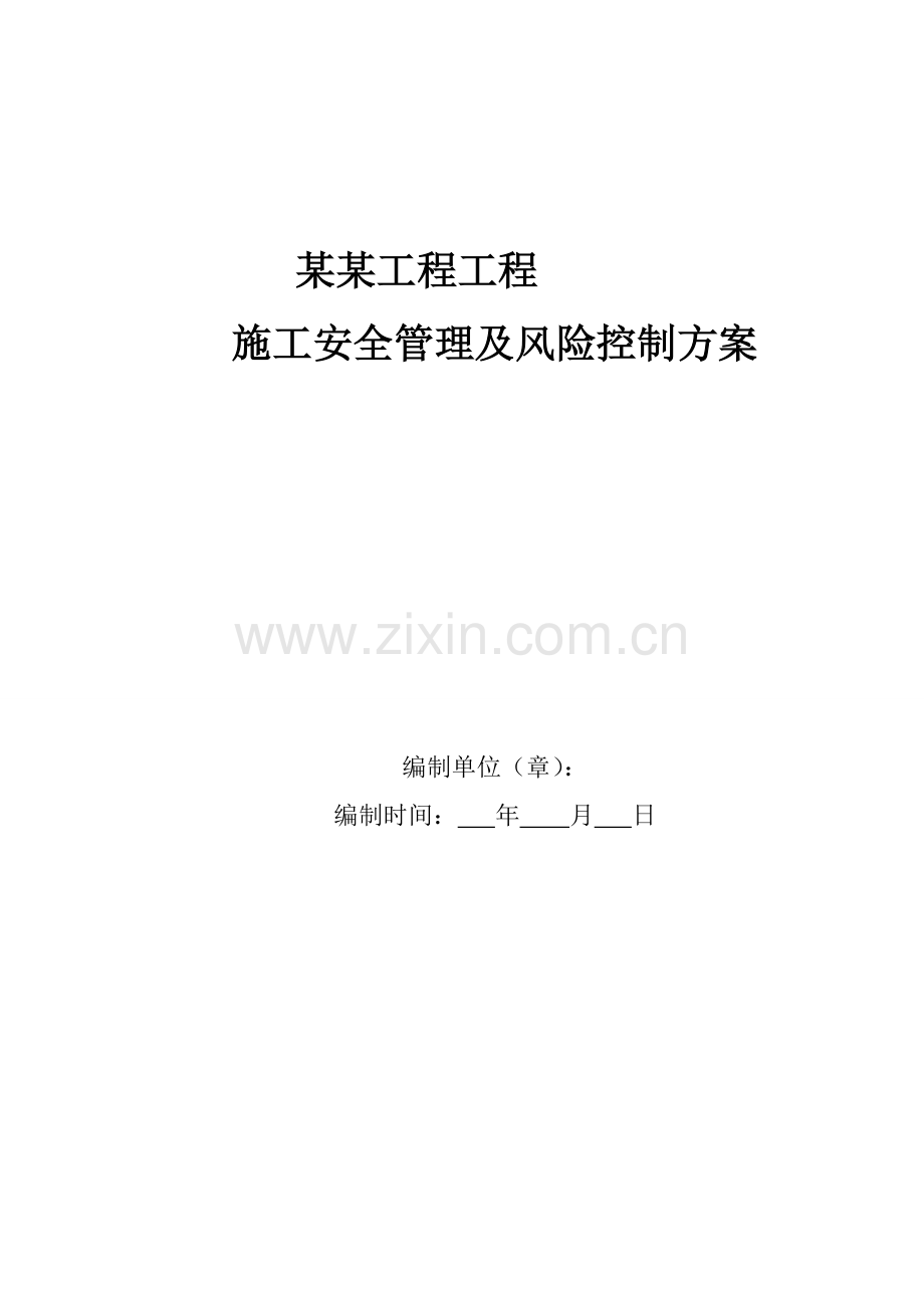 关键工程综合施工安全管理及风险控制专题方案.docx_第1页