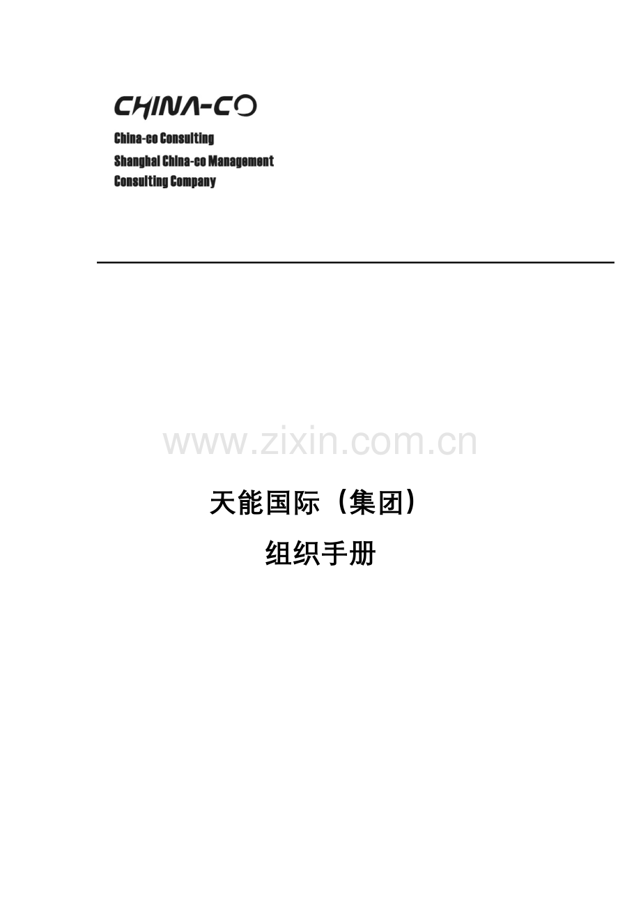 国际有限公司组织手册模板.doc_第1页