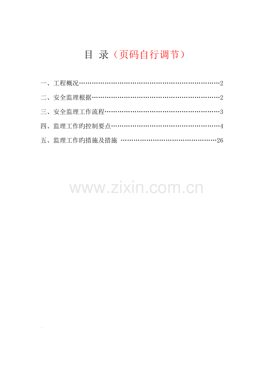 市政安全监理实施标准细则范本.docx_第2页