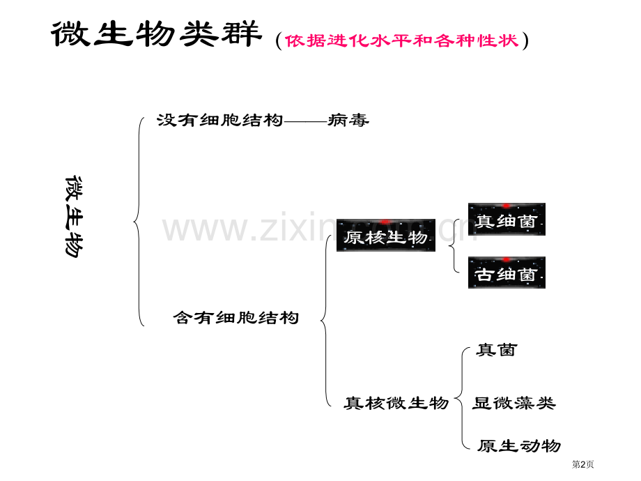 原核生物专题培训市公开课一等奖百校联赛特等奖课件.pptx_第2页