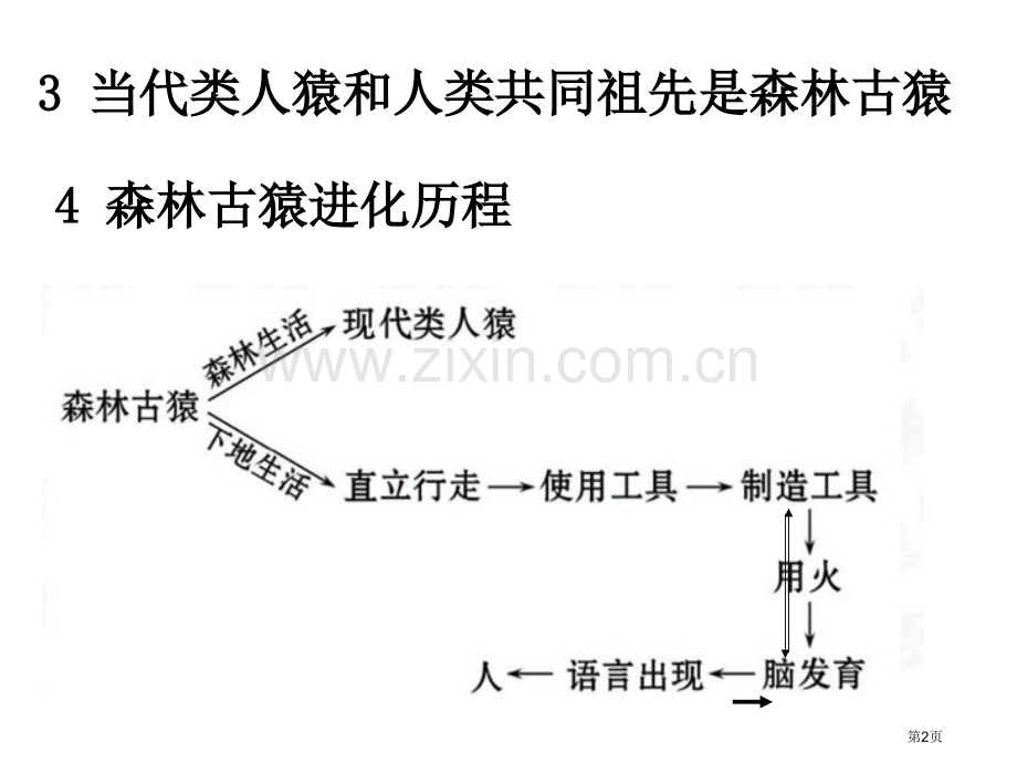 人教版生物七年级下册期中复习知识点复习省公共课一等奖全国赛课获奖课件.pptx_第2页