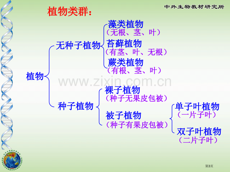 丰富多彩的生物世界省公共课一等奖全国赛课获奖课件.pptx_第3页