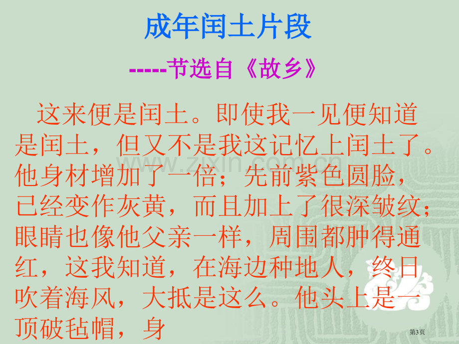 中年闰土片段节选自故乡省公共课一等奖全国赛课获奖课件.pptx_第3页