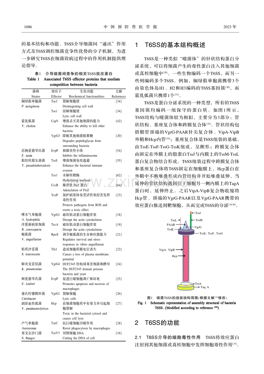 T6SS在调控细菌竞争性优势过程中的作用及分子机制.pdf_第2页