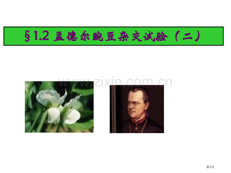 人教版教学必修2一章2节孟德尔的豌豆杂交实验省公共课一等奖全国赛课获奖课件.pptx_第1页