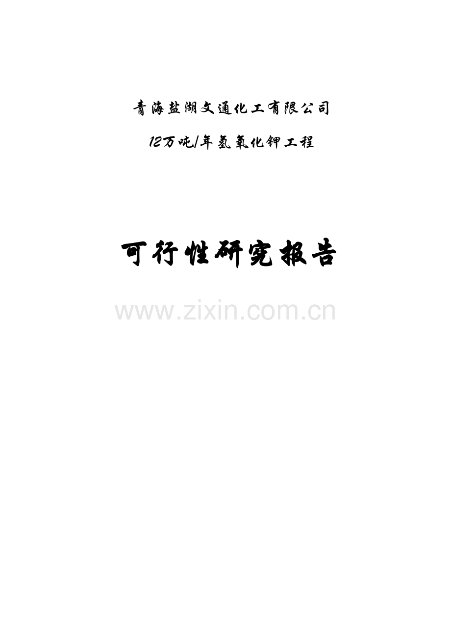 12万吨每年氢氧化钾工程可行性研究报告.doc_第1页