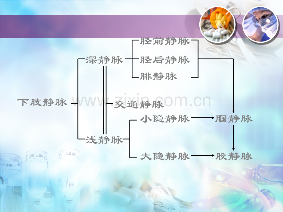 下肢静脉曲张防治方法医学课件.ppt_第2页