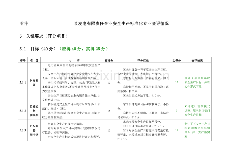 发电有限责任公司安全生产基础标准化专业查评情况表.doc_第1页