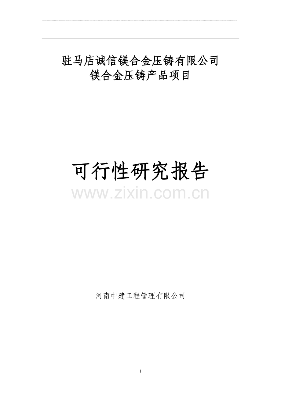 镁合金压铸产品项目可行性研究报告.doc_第1页