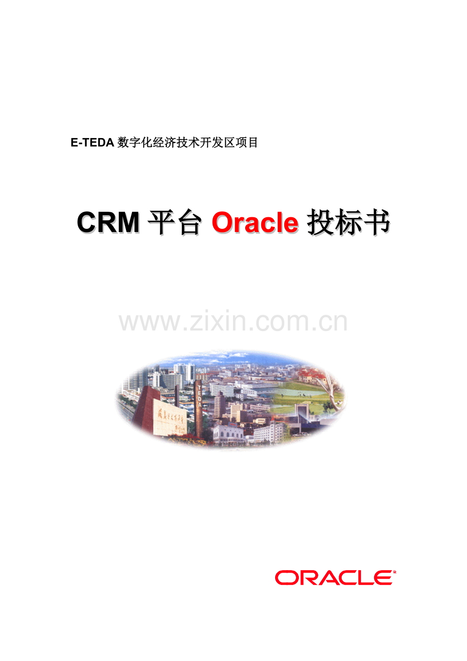 Oracle投标书及项目需求模板.doc_第1页