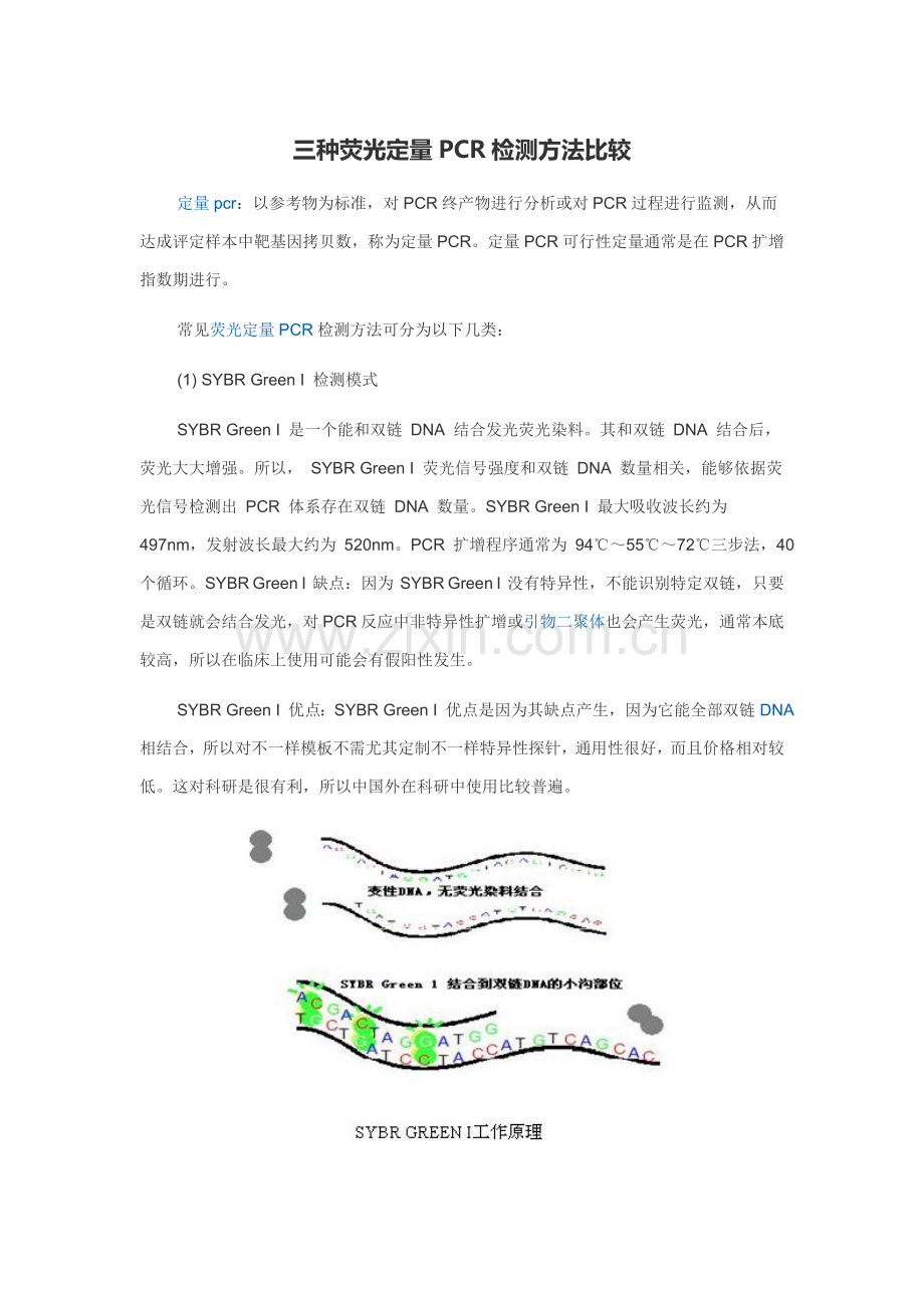 三种荧光定量PCR检验方法比较.doc_第1页