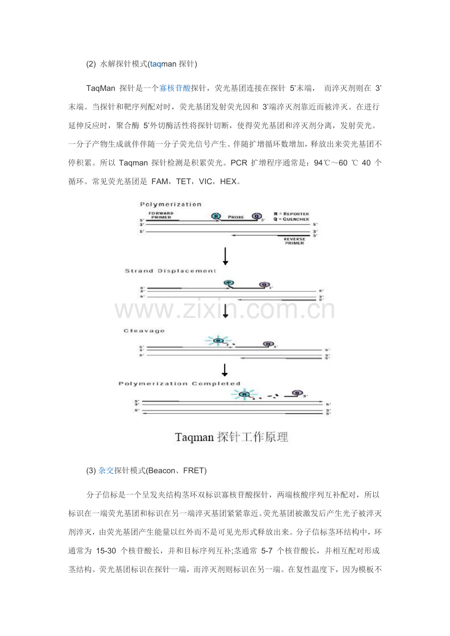 三种荧光定量PCR检验方法比较.doc_第2页