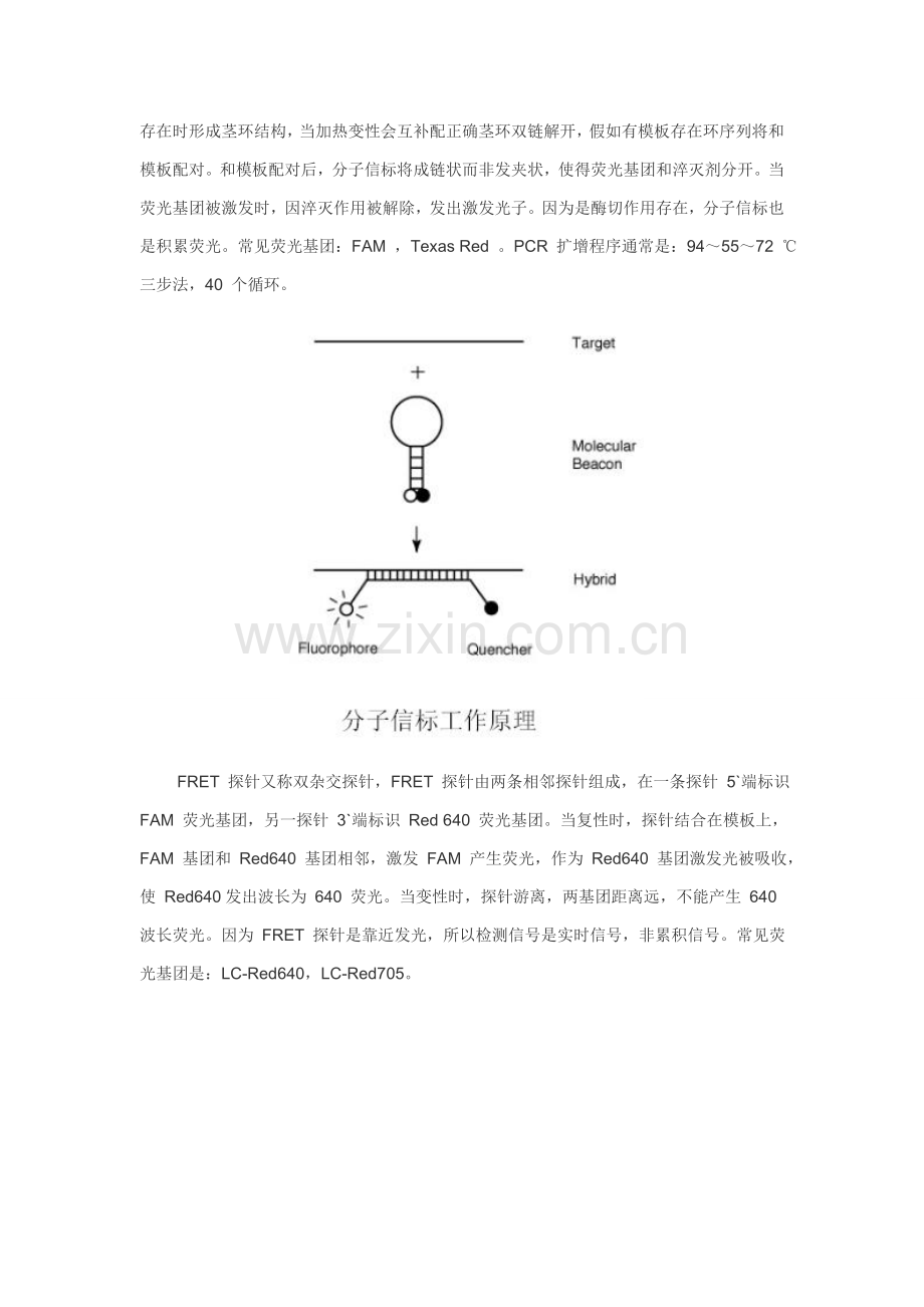 三种荧光定量PCR检验方法比较.doc_第3页