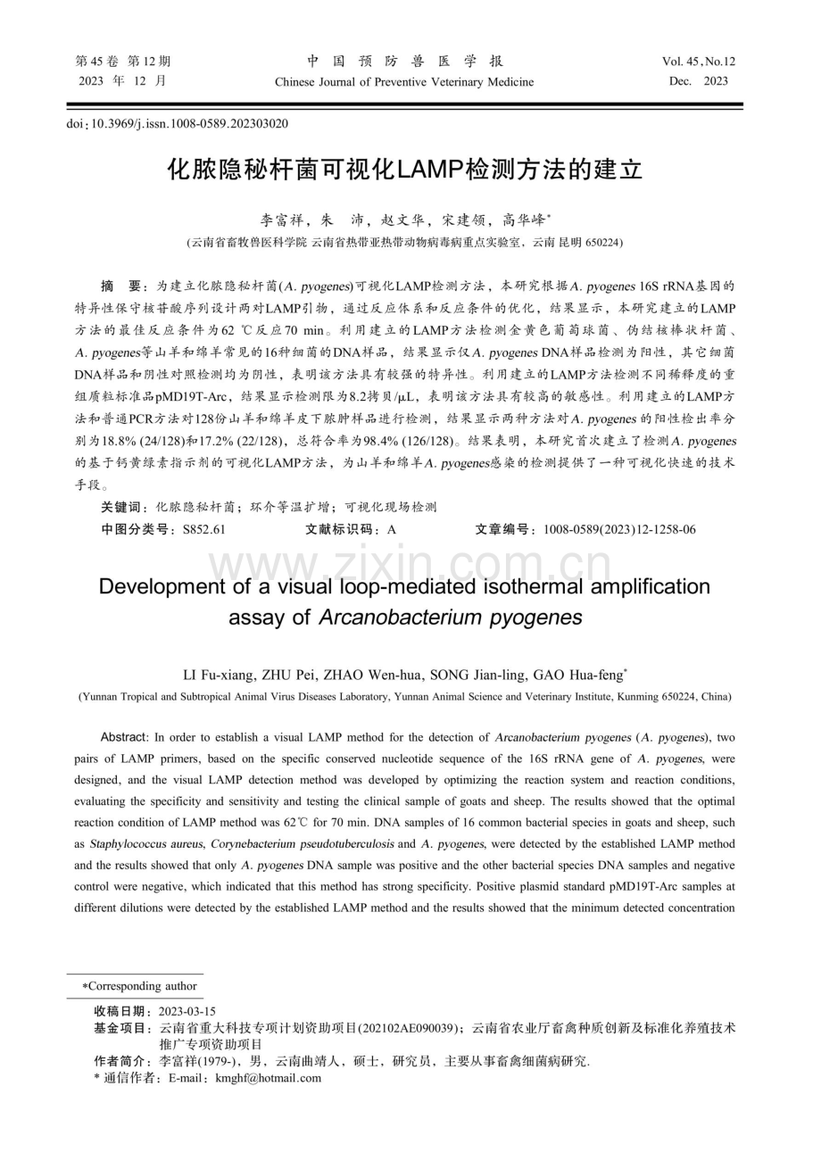 化脓隐秘杆菌可视化LAMP检测方法的建立.pdf_第1页