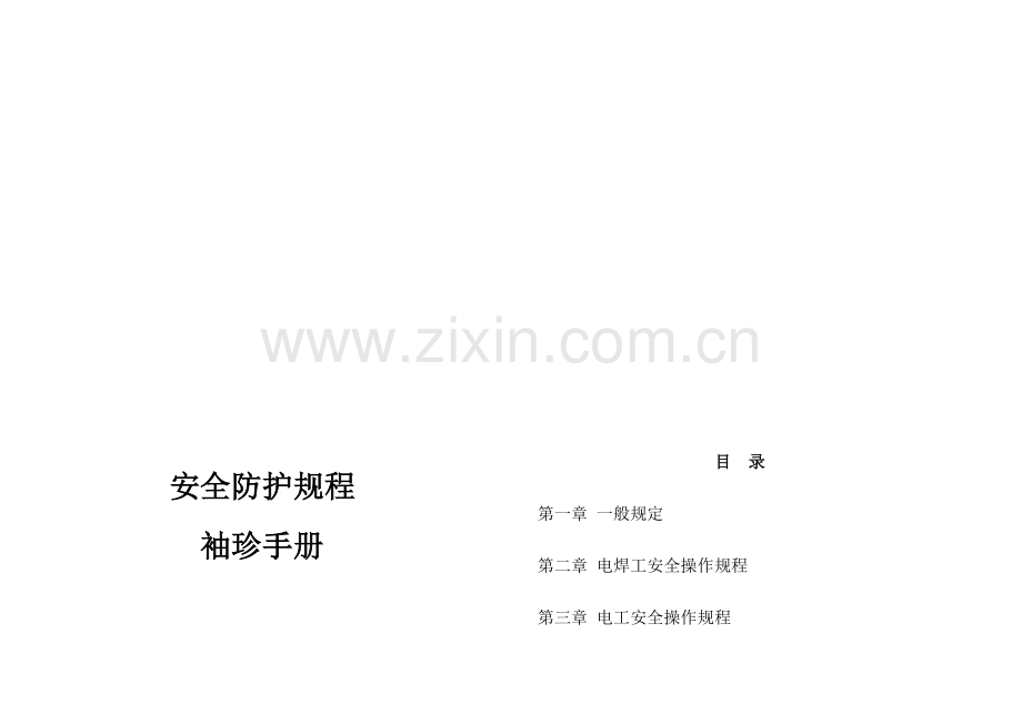 安全防护专题规程经典标准手册.docx_第1页