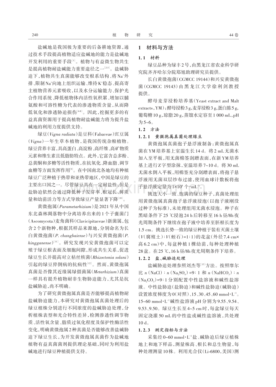 黄微孢属真菌改善盐碱胁迫下绿豆生长作用分析.pdf_第2页