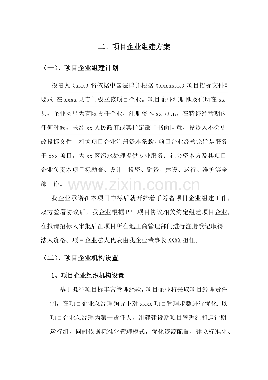 PPP综合项目公司组建专项方案.docx_第1页