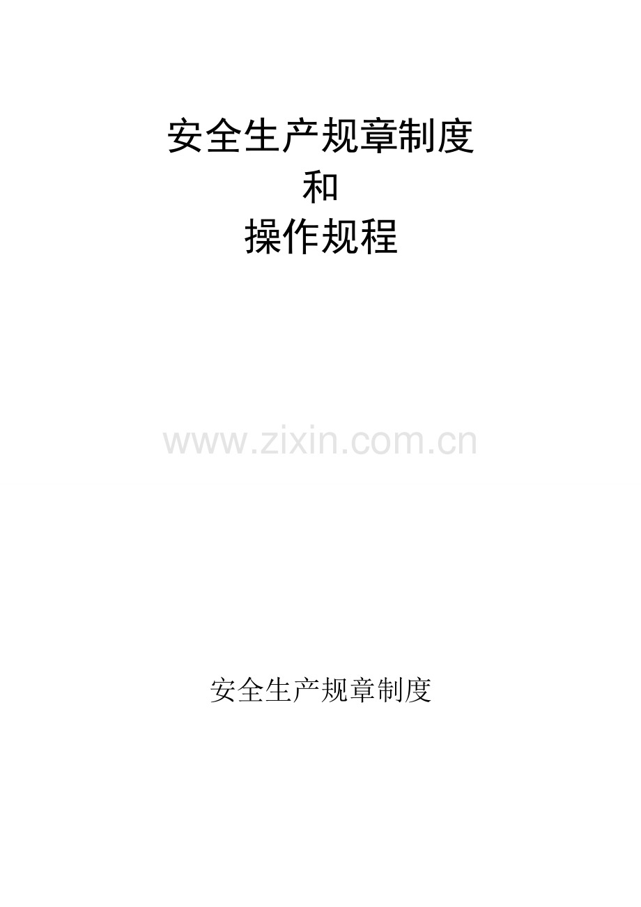 安全生产全新规章新版制度和操作专题规程.docx_第1页