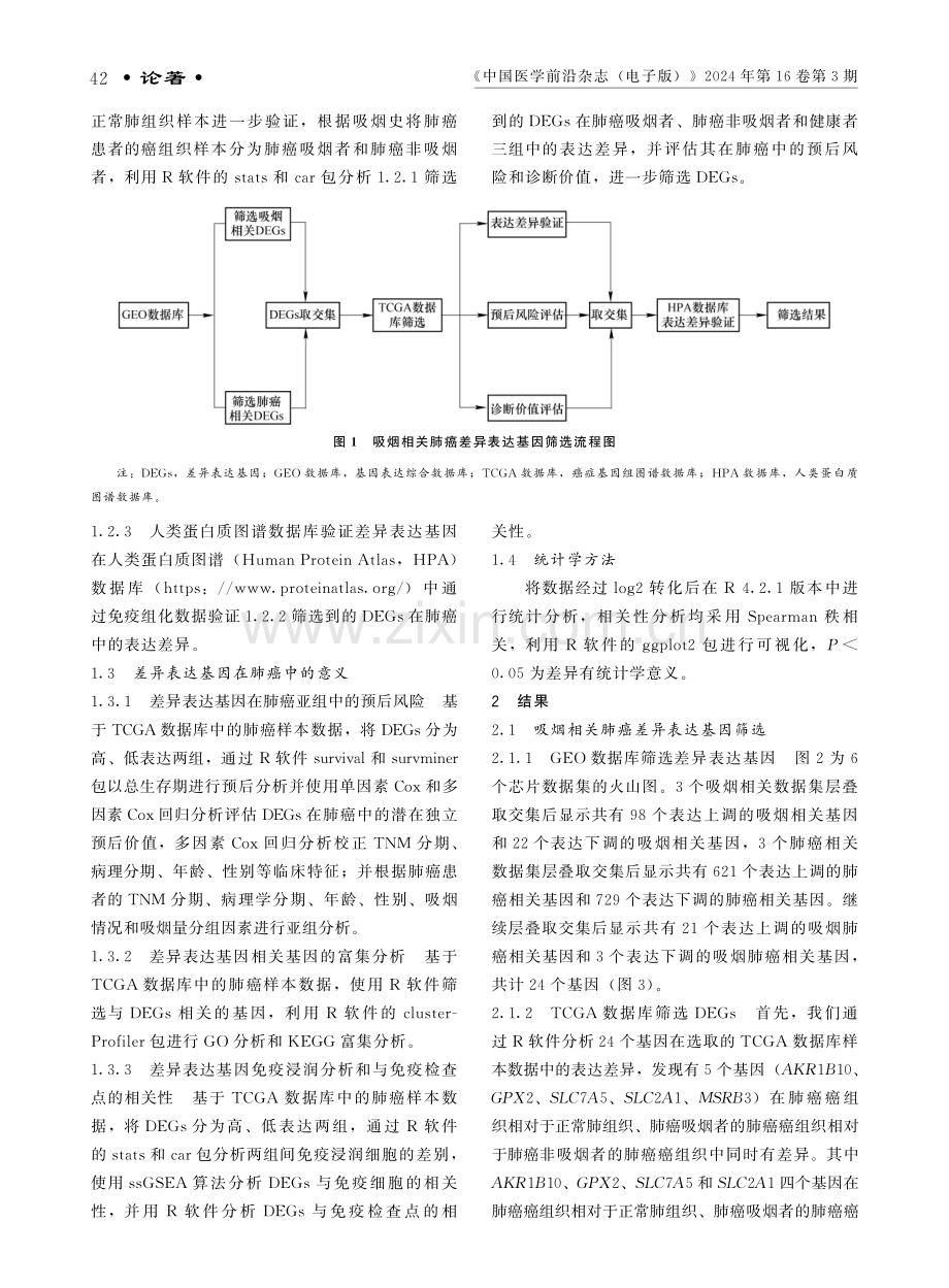 基于数据库筛选吸烟相关肺癌基因并探究其在肺癌中的意义.pdf_第3页