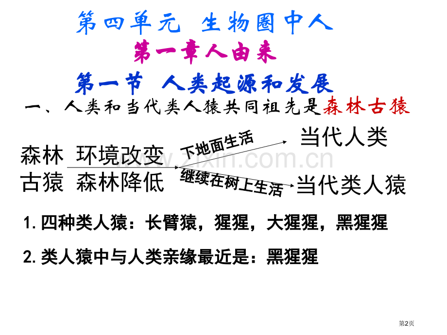 人教版七年级下册生物期末复习知识点省公共课一等奖全国赛课获奖课件.pptx_第2页