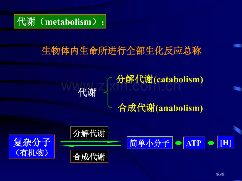 微生物的代谢省公共课一等奖全国赛课获奖课件.pptx_第2页