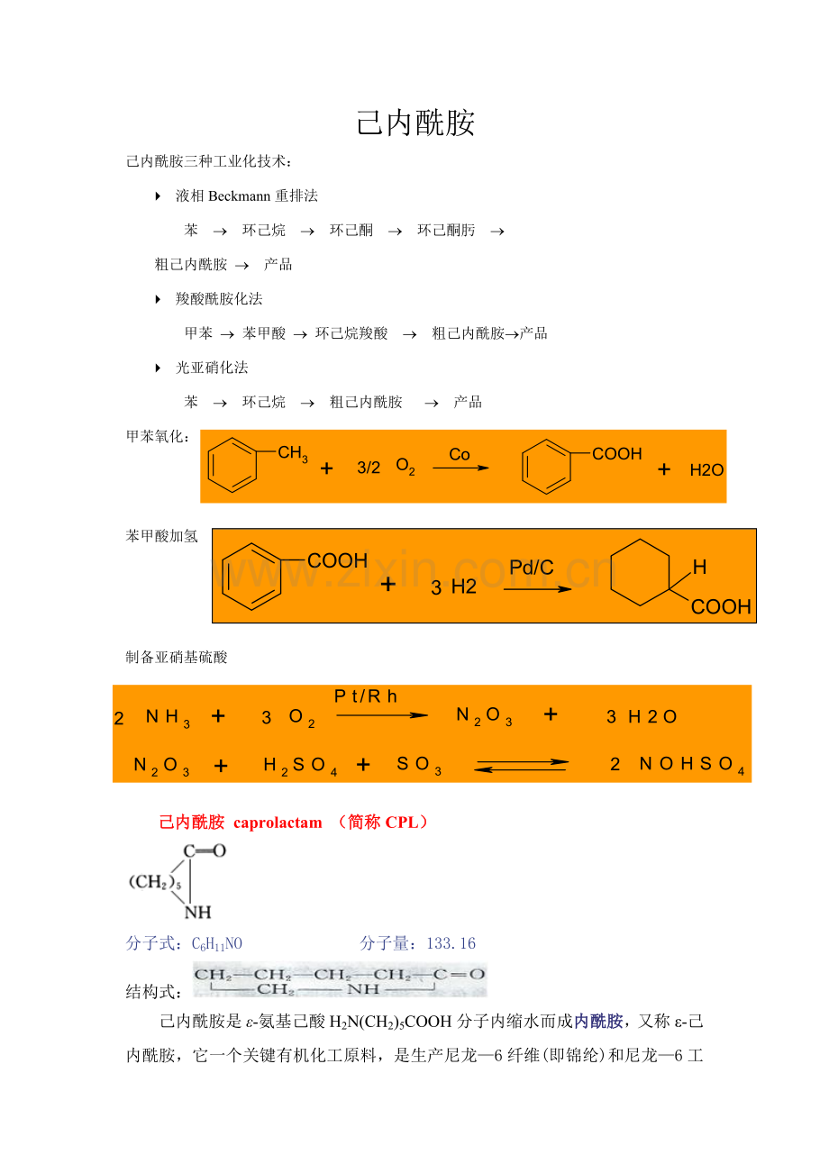 己内酰胺生产工艺模板.doc_第1页