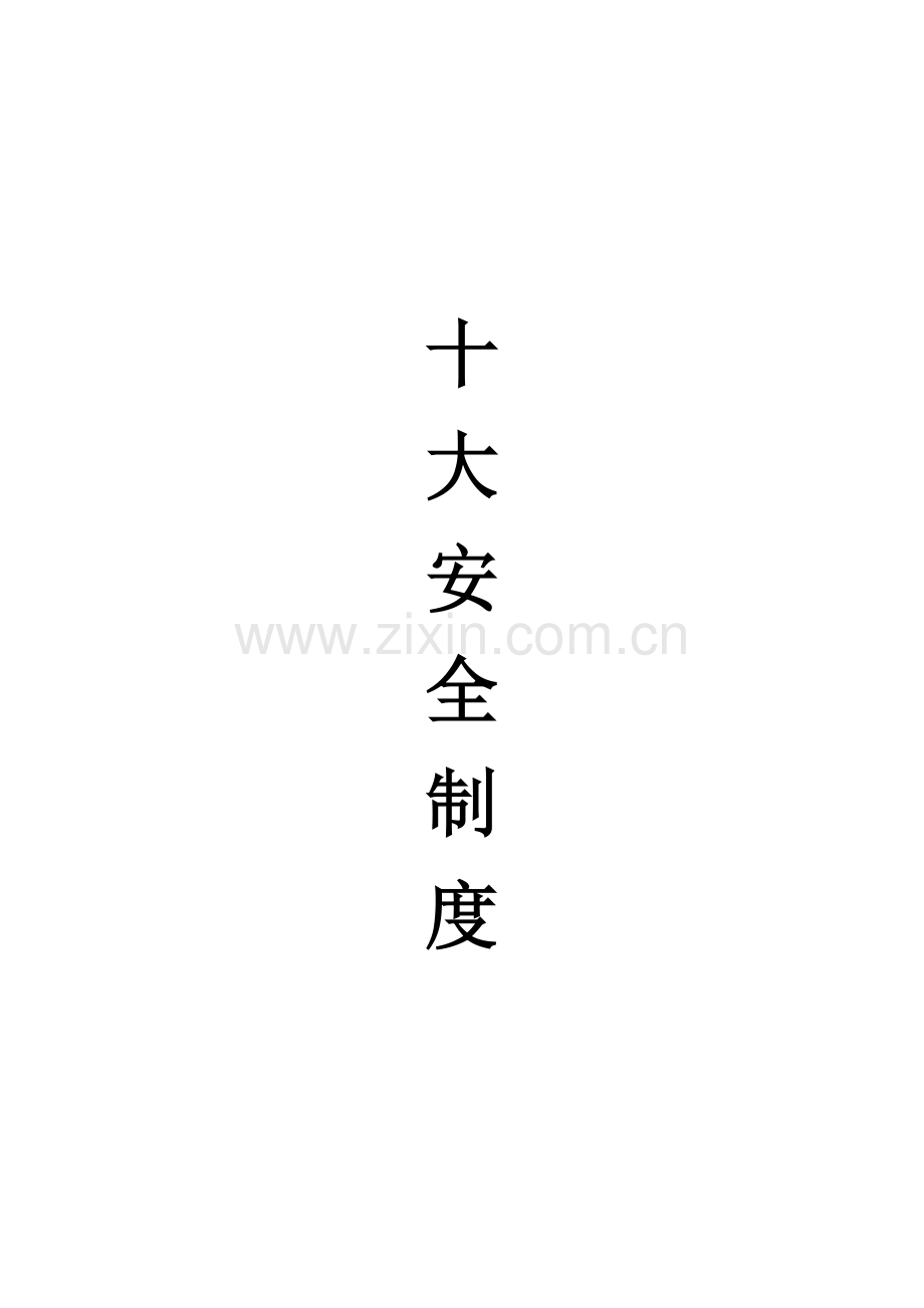 医院十大安全核心制度.docx_第1页