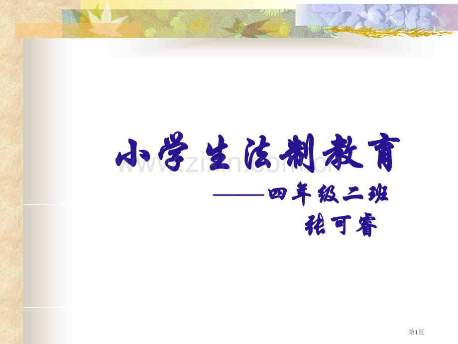 小学生法制教育省公共课一等奖全国赛课获奖课件.pptx_第1页