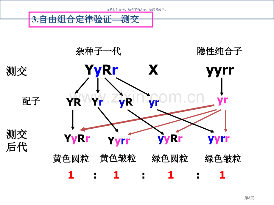 一轮复习基因的自由组合定律宣讲市公开课一等奖百校联赛获奖课件.pptx_第3页