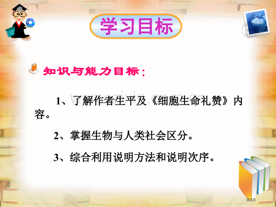 作为生物的社会省公共课一等奖全国赛课获奖课件.pptx_第3页