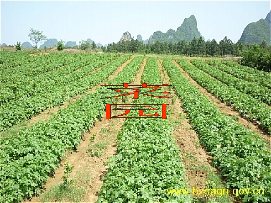 人教版一年级上册语文菜园里省公共课一等奖全国赛课获奖课件.pptx_第3页