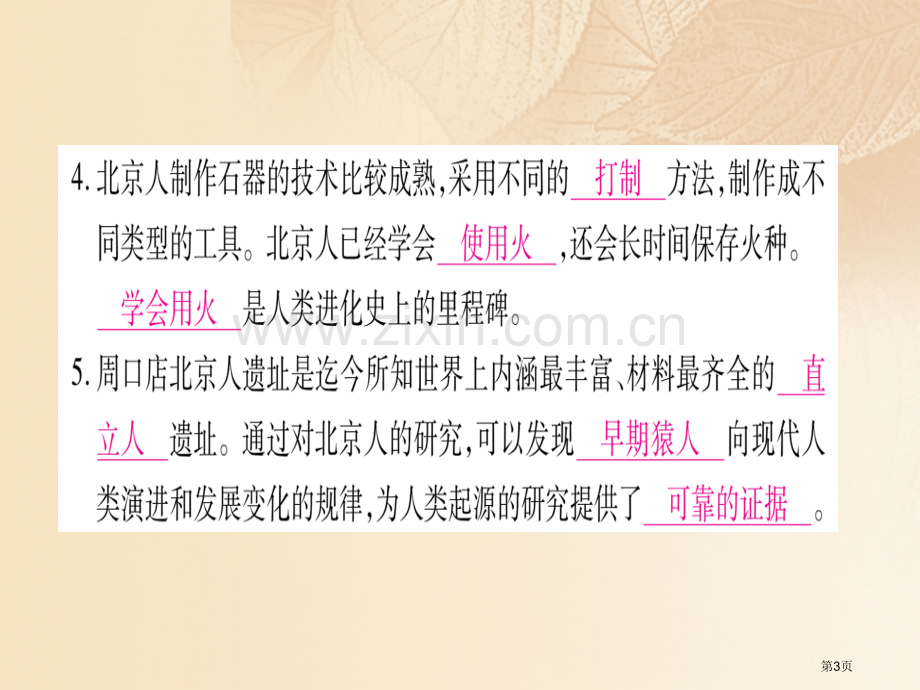 七年级历史上册第一单元史前时期：中国境内人类的活动第01课中国早期人类的代表—北京人习题市公开课一等.pptx_第3页