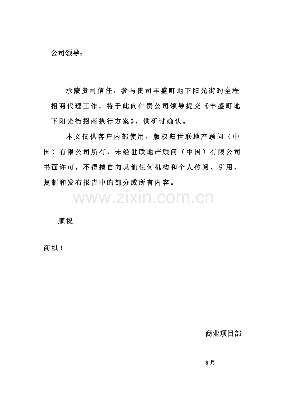 地产商业招商专题方案.docx_第2页