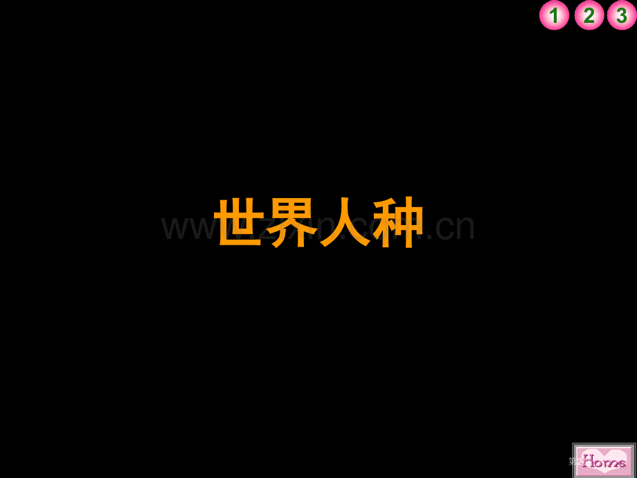 七年级地理世界的语言省公共课一等奖全国赛课获奖课件.pptx_第2页