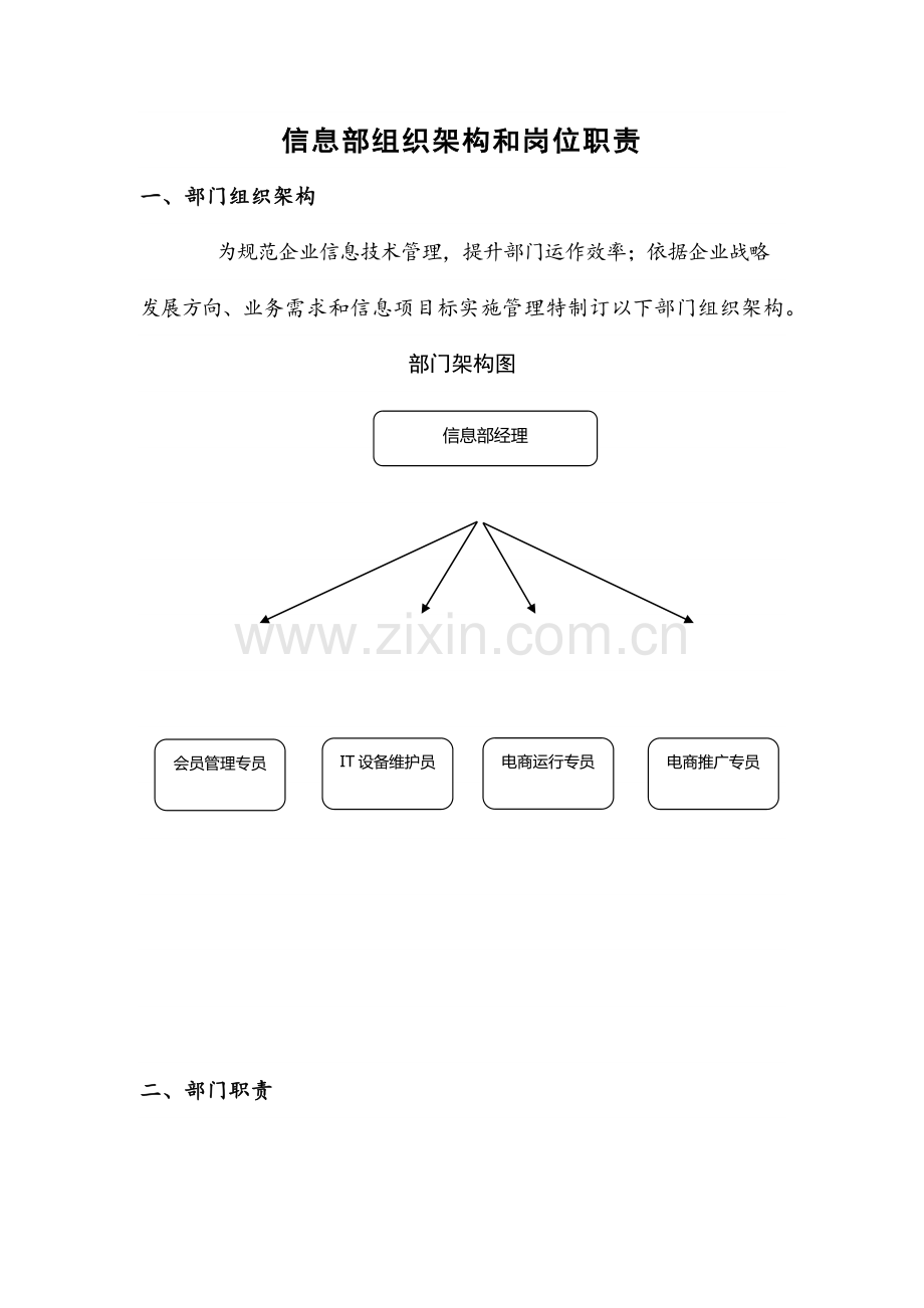 信息部组织架构与岗位基础职责.docx_第1页