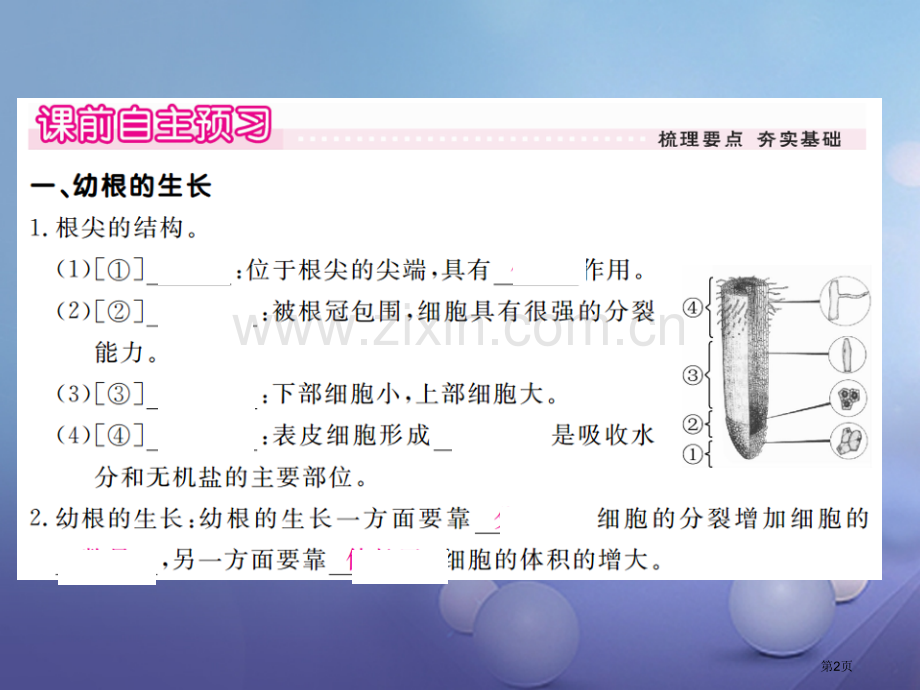 七年级生物上册第三单元第二章第二节植株的生长PPT市公开课一等奖百校联赛特等奖大赛微课金奖PPT课件.pptx_第2页