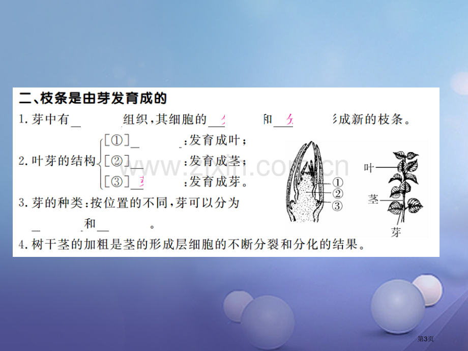 七年级生物上册第三单元第二章第二节植株的生长PPT市公开课一等奖百校联赛特等奖大赛微课金奖PPT课件.pptx_第3页