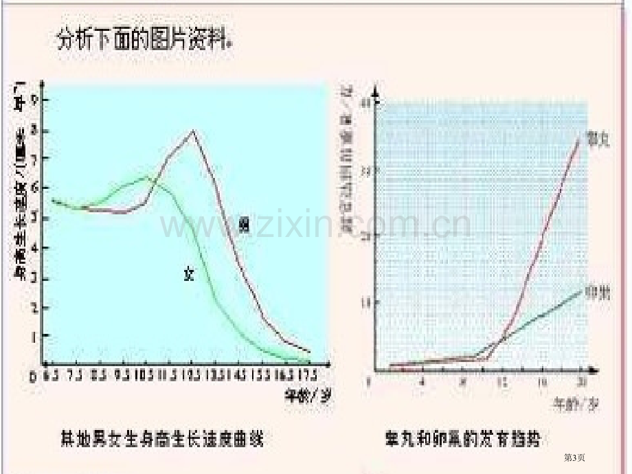 初一下生物青春期省公共课一等奖全国赛课获奖课件.pptx_第3页