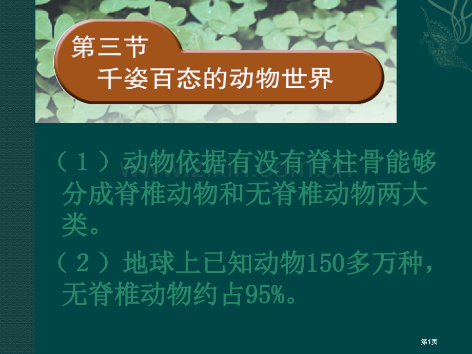 八年级生物下册千姿百态的动物世界苏教版省公共课一等奖全国赛课获奖课件.pptx_第1页