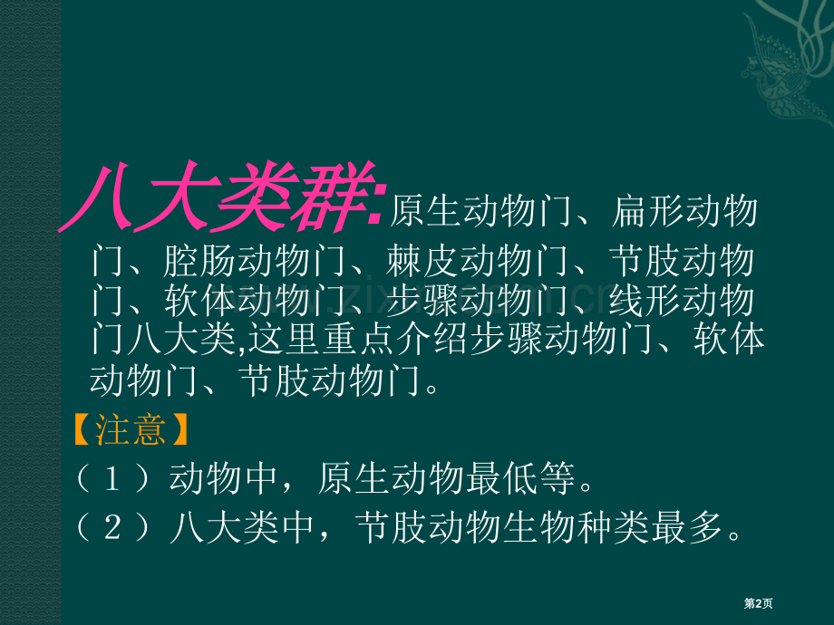 八年级生物下册千姿百态的动物世界苏教版省公共课一等奖全国赛课获奖课件.pptx_第2页