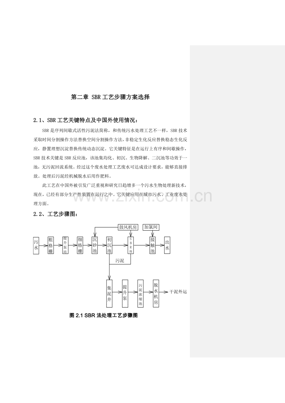 SBR基本工艺设计项目说明指导书.doc_第3页