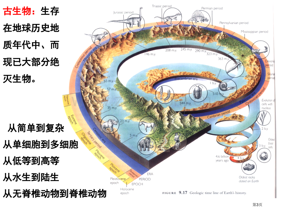 古生物和地层省公共课一等奖全国赛课获奖课件.pptx_第3页