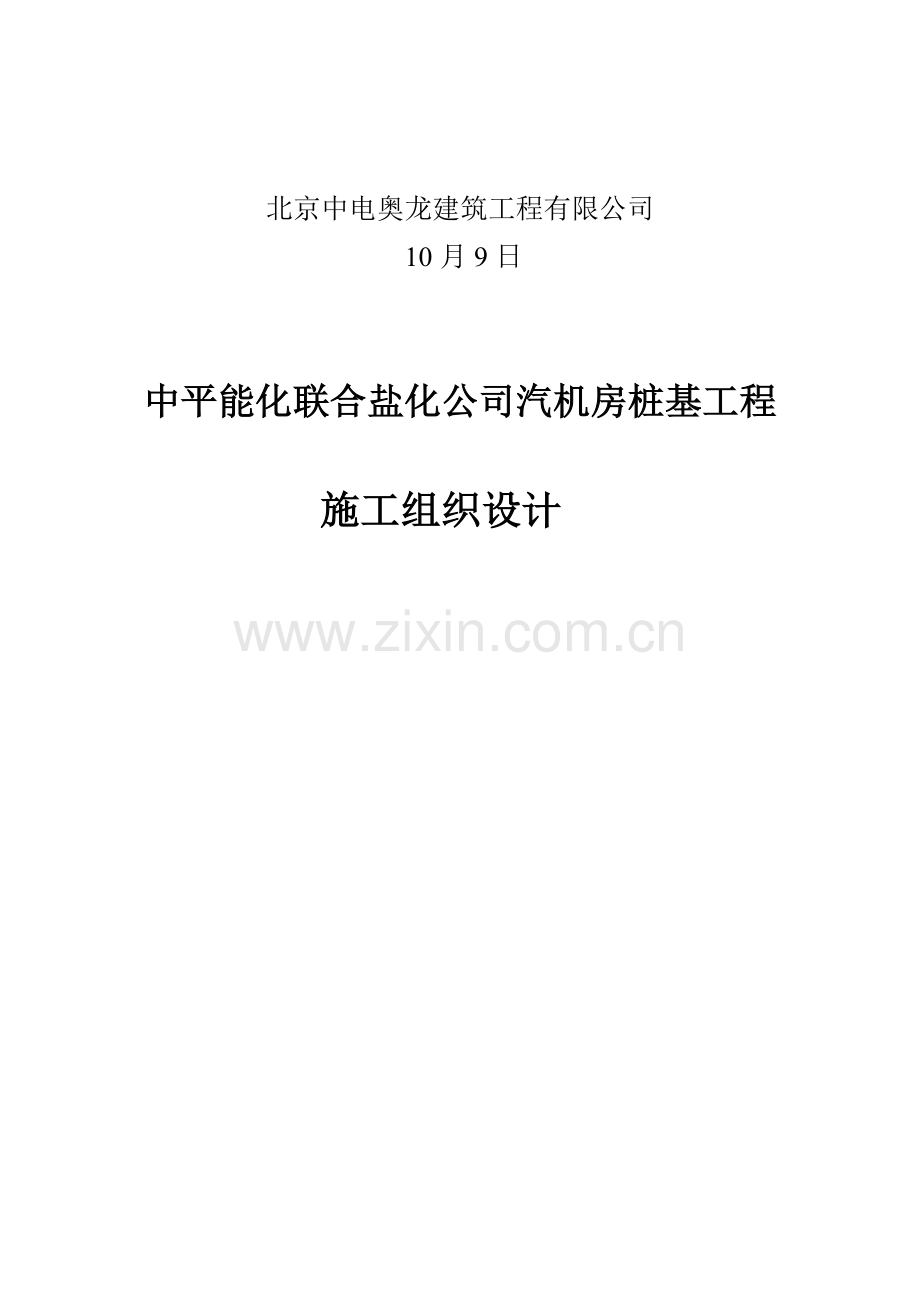 反循环钻孔专项综合施工专题方案.docx_第2页