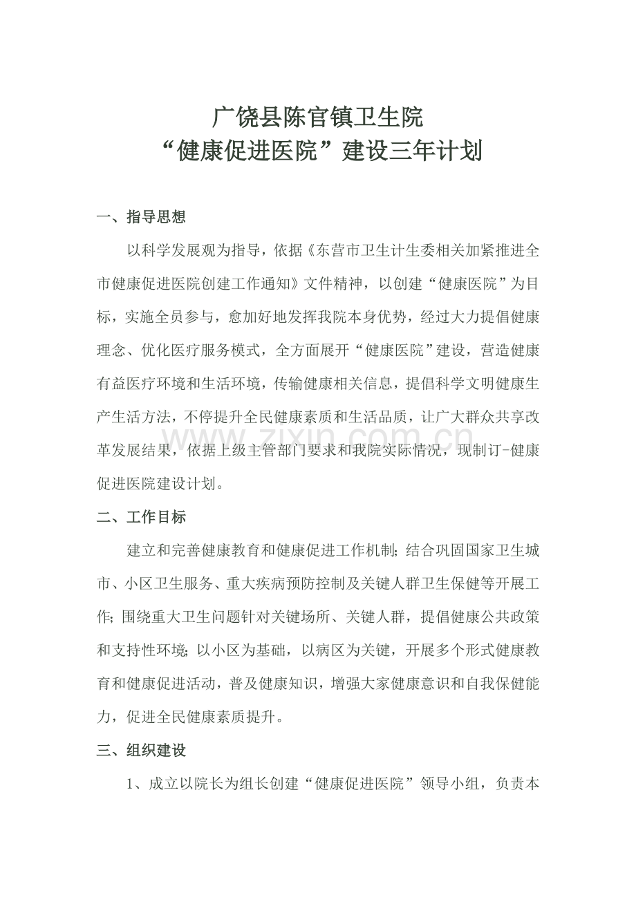 卫生院健康促进医院建设综合规划.doc_第1页