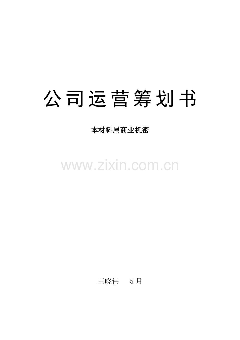 公司运营综合计划书.docx_第1页