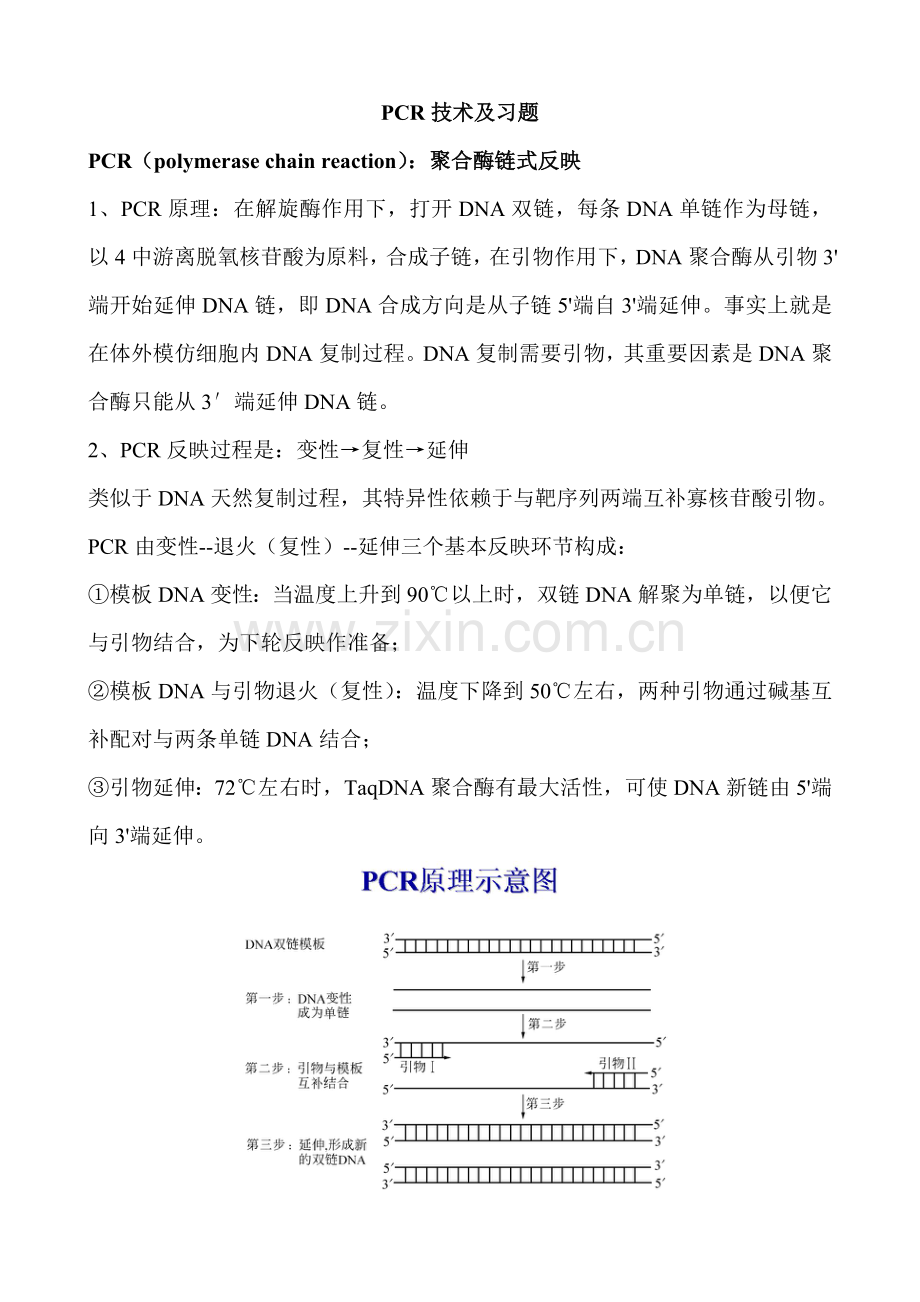 PCR关键技术及习题专业资料.doc_第1页