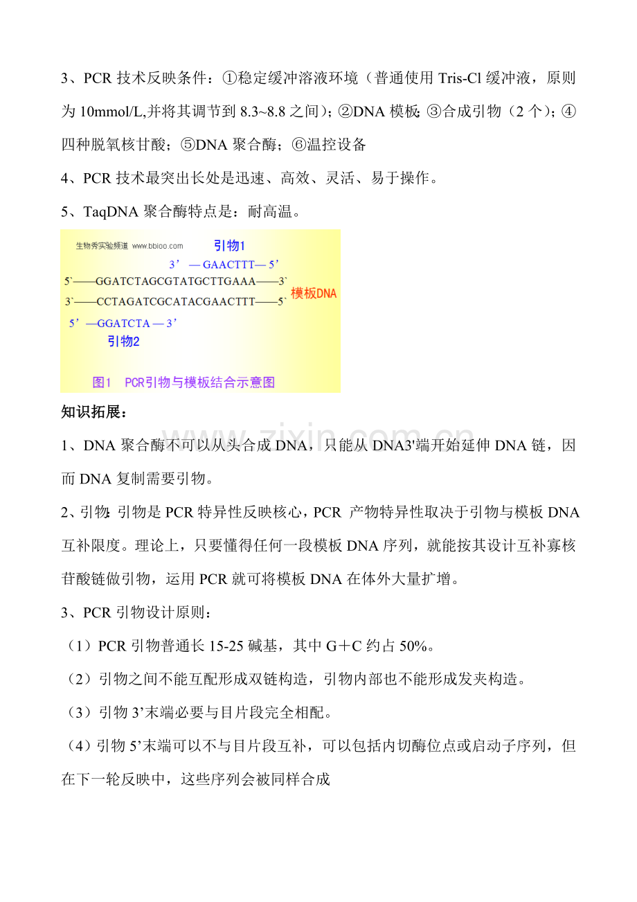 PCR关键技术及习题专业资料.doc_第3页