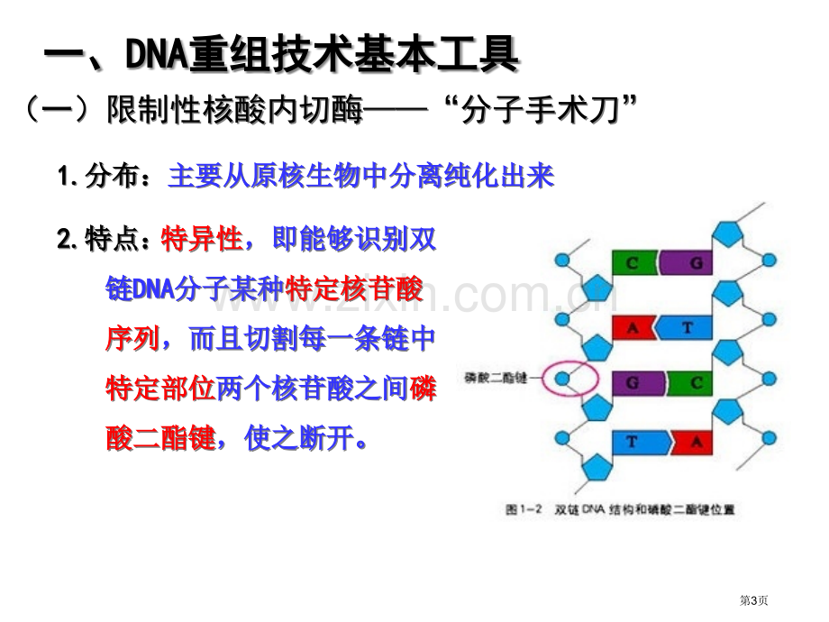 人教版生物选修三全高考复习用省公共课一等奖全国赛课获奖课件.pptx_第3页