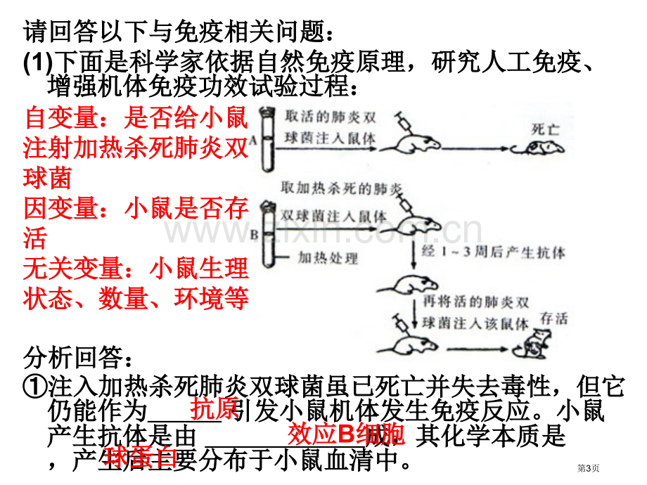 实验专题复习省公共课一等奖全国赛课获奖课件.pptx_第3页